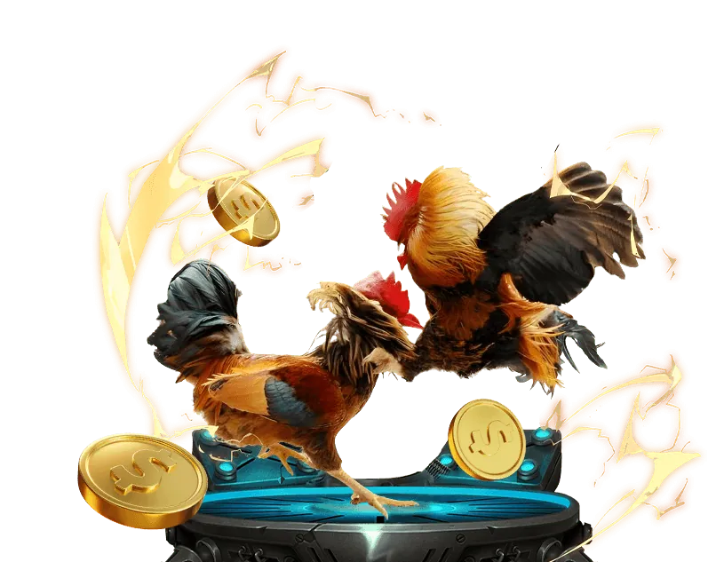 Biểu tượng email hỗ trợ khách hàng 8kbet123